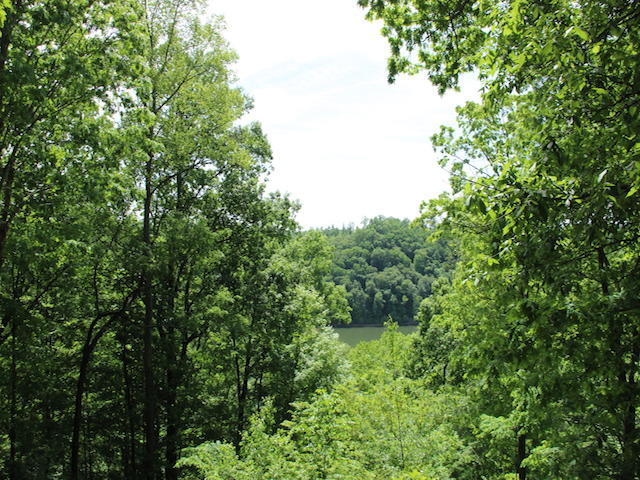 264 Stephens Point Road Russell Springs, KY 42642 - Photo 61 of 118 IMG_8406