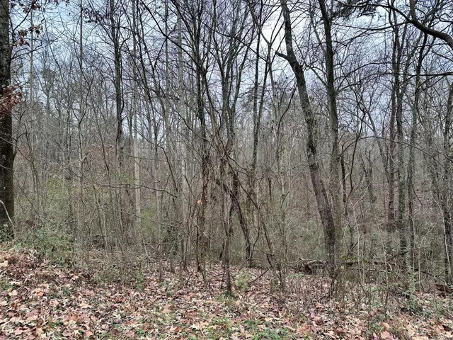 $32,000 | 310 Brumlow Hollow Road, Soddy Daisy, TN 37379