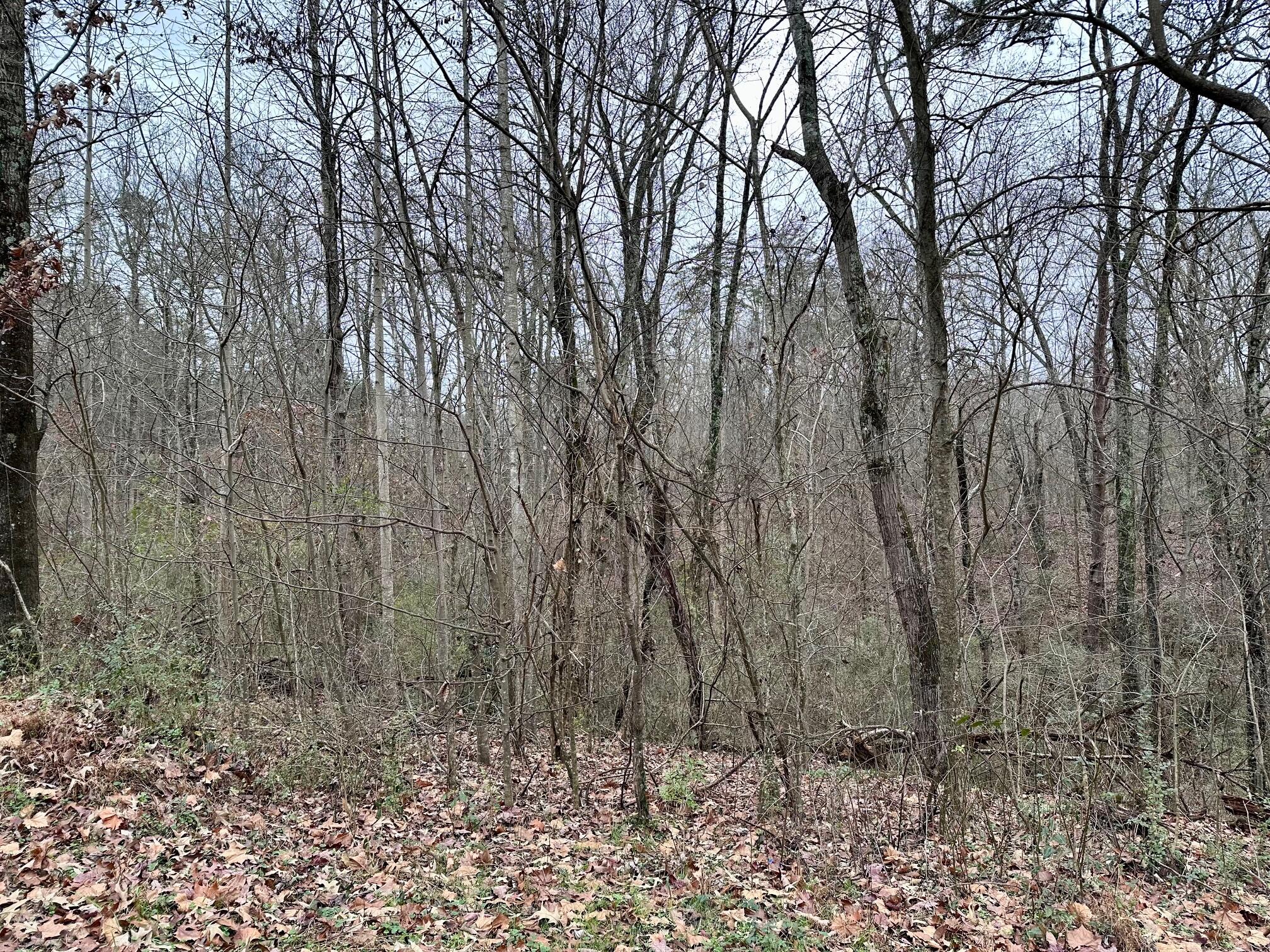 310 Brumlow Hollow Road Soddy Daisy, TN 37379 - Photo 1 of 5 IMG_1655