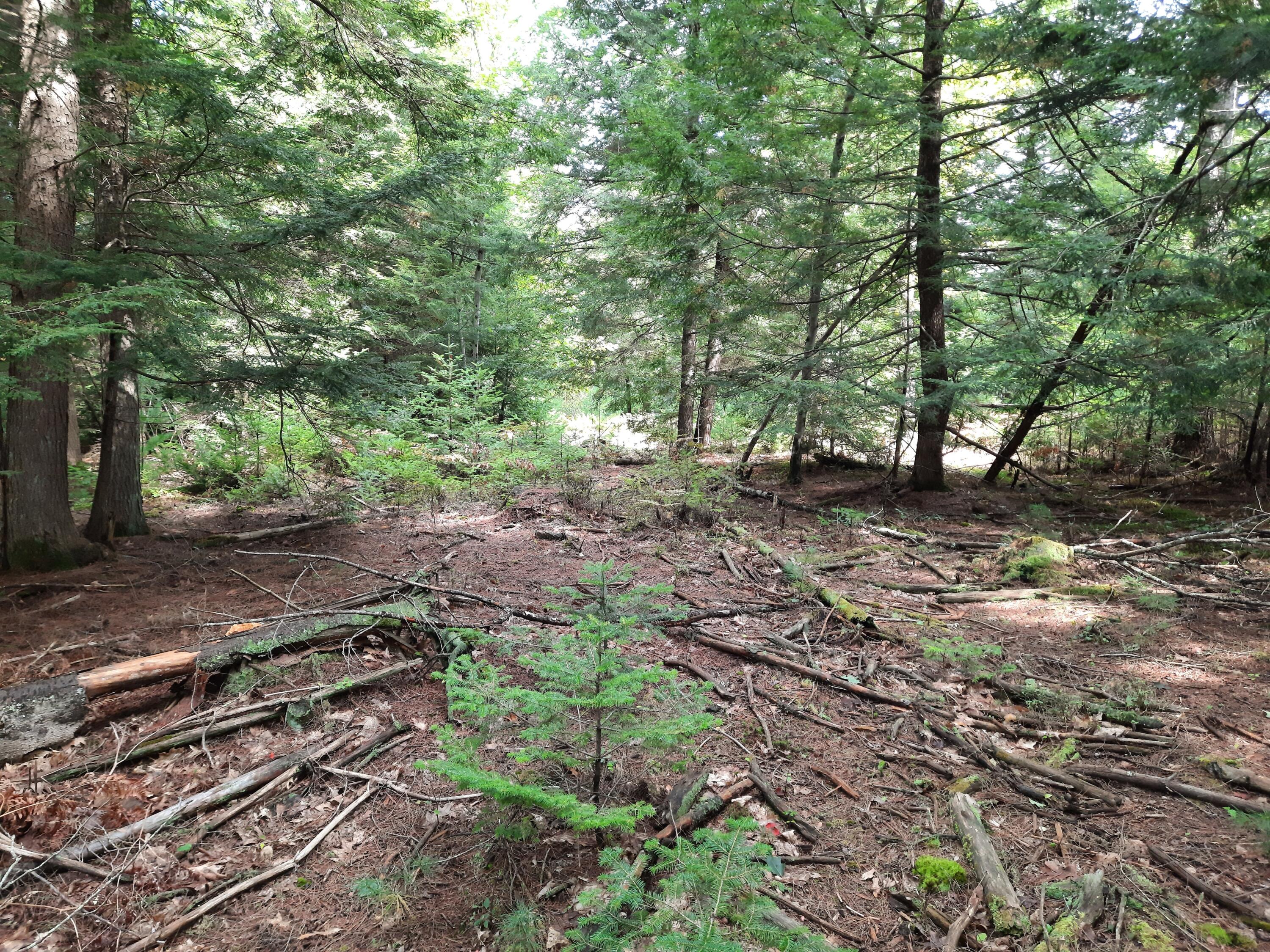 Lot 1 Hatch Road Lisbon, ME 04250 - Photo 2 of 14 Lot 1 Hatch Rd