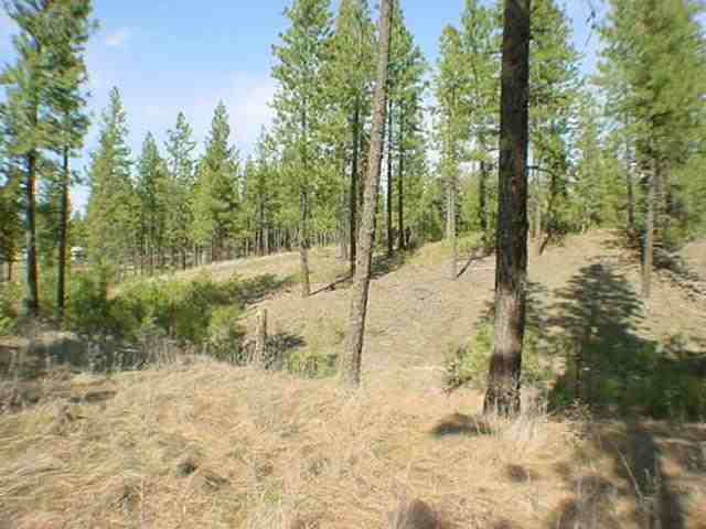 2327 South Ritchey Road Medical Lake, WA 99022 - Photo 5 of 7