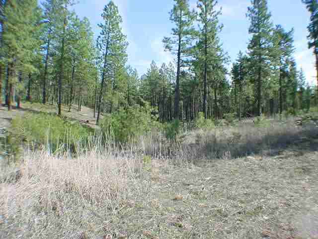 2327 South Ritchey Road Medical Lake, WA 99022 - Photo 6 of 7