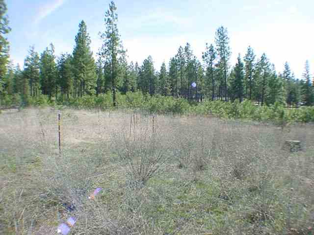2327 South Ritchey Road Medical Lake, WA 99022 - Photo 7 of 7