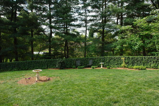 3318 Windsor Road Roanoke, VA 24018 - Photo 29 of 33 Rear Exterior