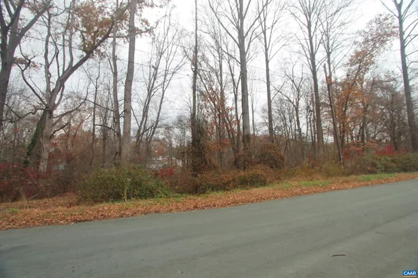 a view of a yard with a trees