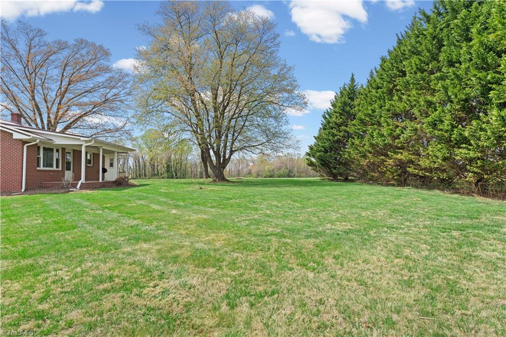 151 Goodall Lane Dobson, NC 27017 - Photo 6 of 45