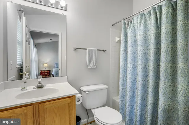 a bathroom with a sink a toilet a mirror and shower curtain