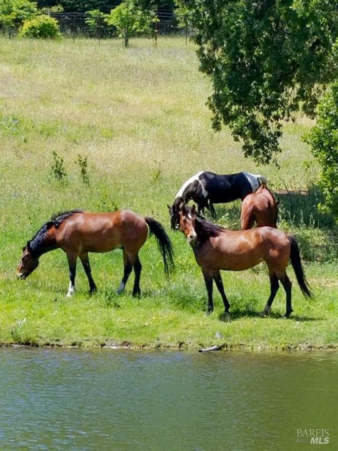 5510-5500 Parducci Road Ukiah, CA 95482 - Photo 79 of 91 picture from 2022