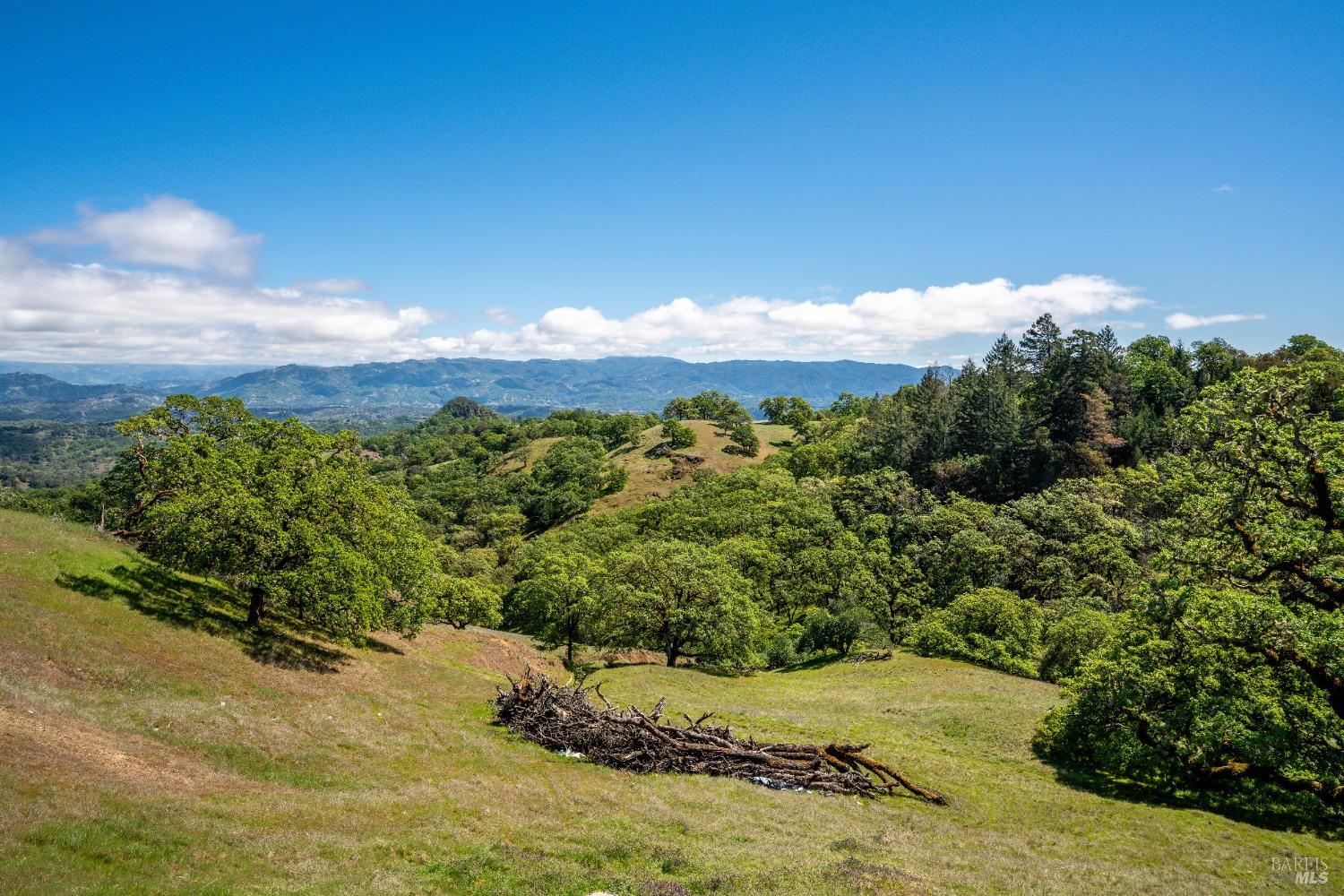 5510-5500 Parducci Road Ukiah, CA 95482 - Photo 81 of 91 picture from 2022