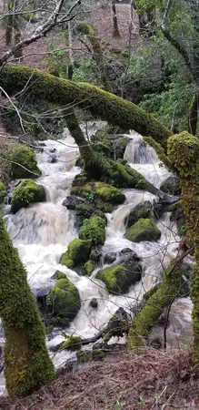 $1,495,000 | 5510-5500 Parducci Road, Ukiah, CA 95482