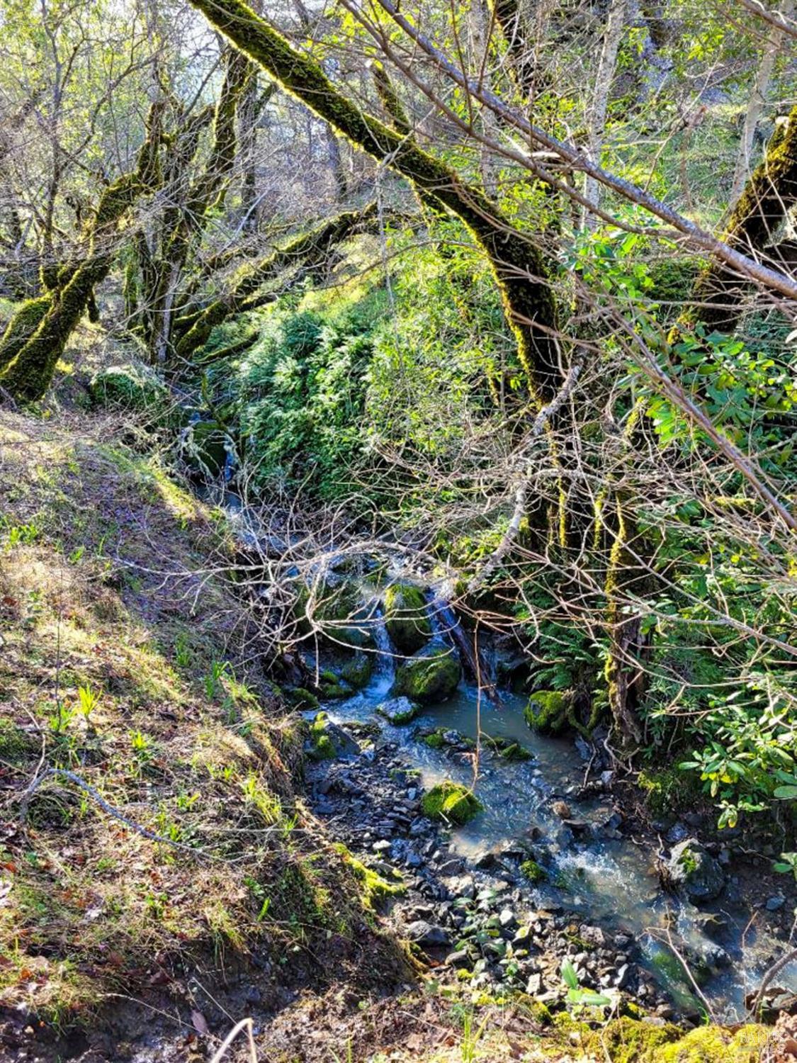 5510-5500 Parducci Road Ukiah, CA 95482 - Photo 87 of 91 picture from 2022