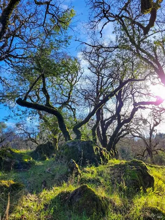 $1,495,000 | 5510-5500 Parducci Road, Ukiah, CA 95482