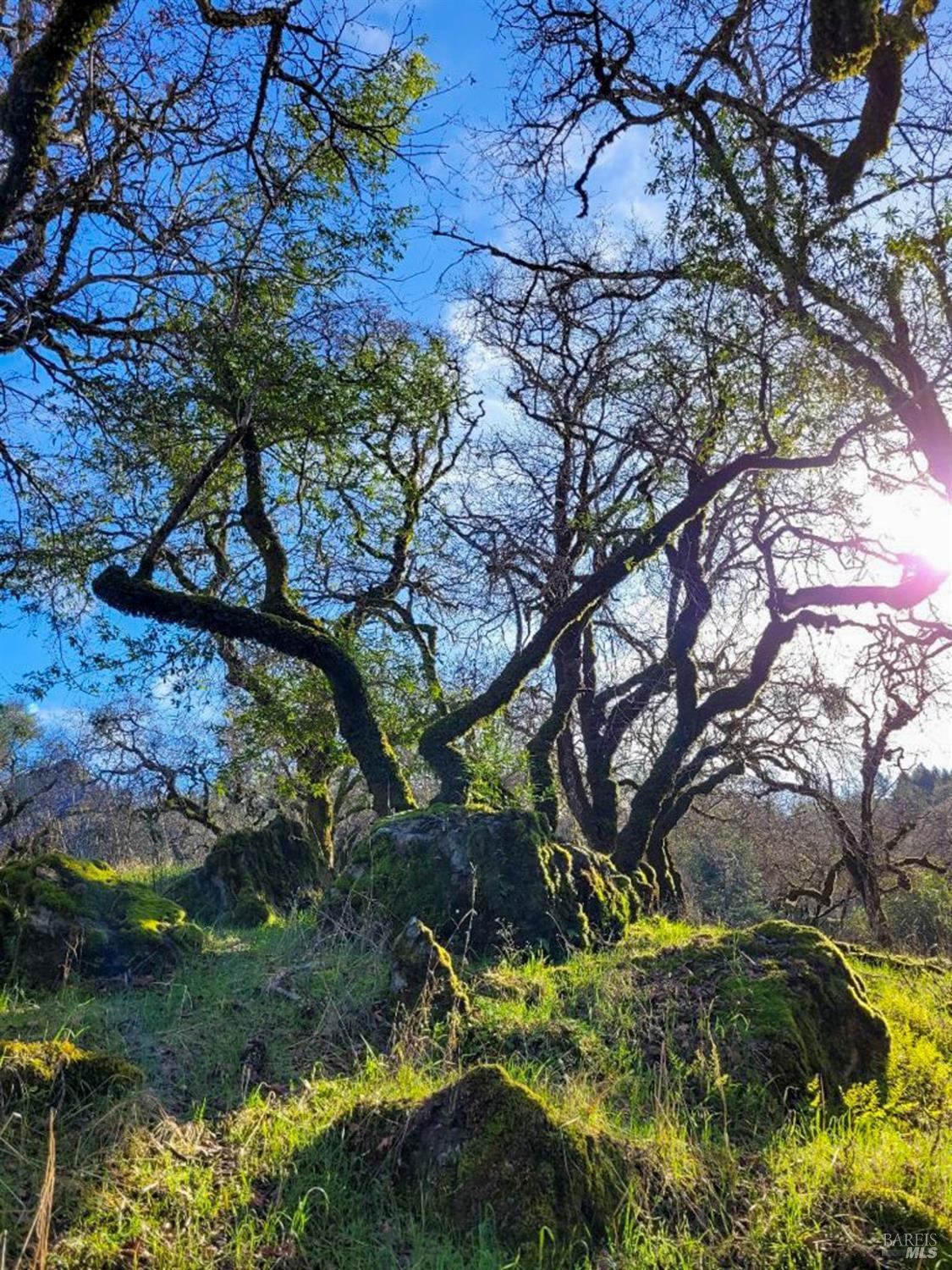 5510-5500 Parducci Road Ukiah, CA 95482 - Photo 88 of 91 picture from 2022