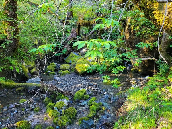 $1,495,000 | 5510-5500 Parducci Road, Ukiah, CA 95482