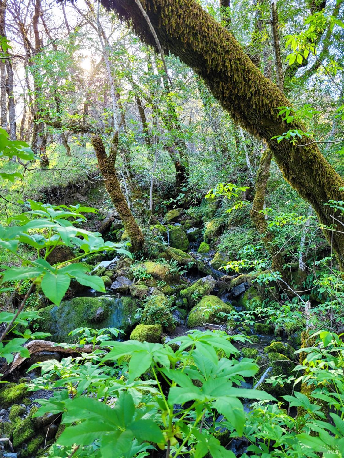 5510-5500 Parducci Road Ukiah, CA 95482 - Photo 91 of 91 picture from 2022