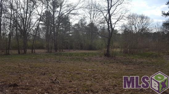 Lot 4 Springfield Road Walker, LA 70785 - Photo 1 of 1