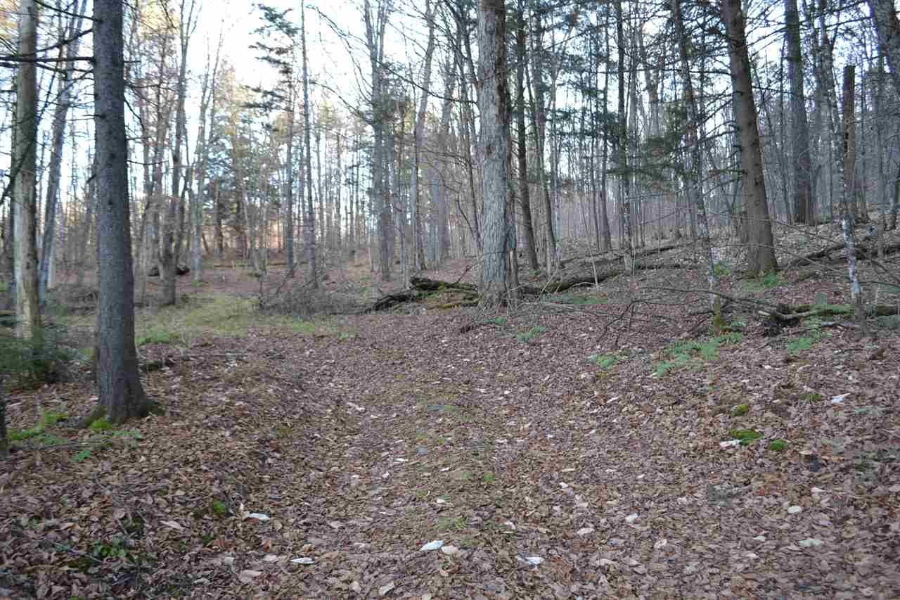 154 Bliss Pond Road Calais, VT 05648 - Photo 1 of 13