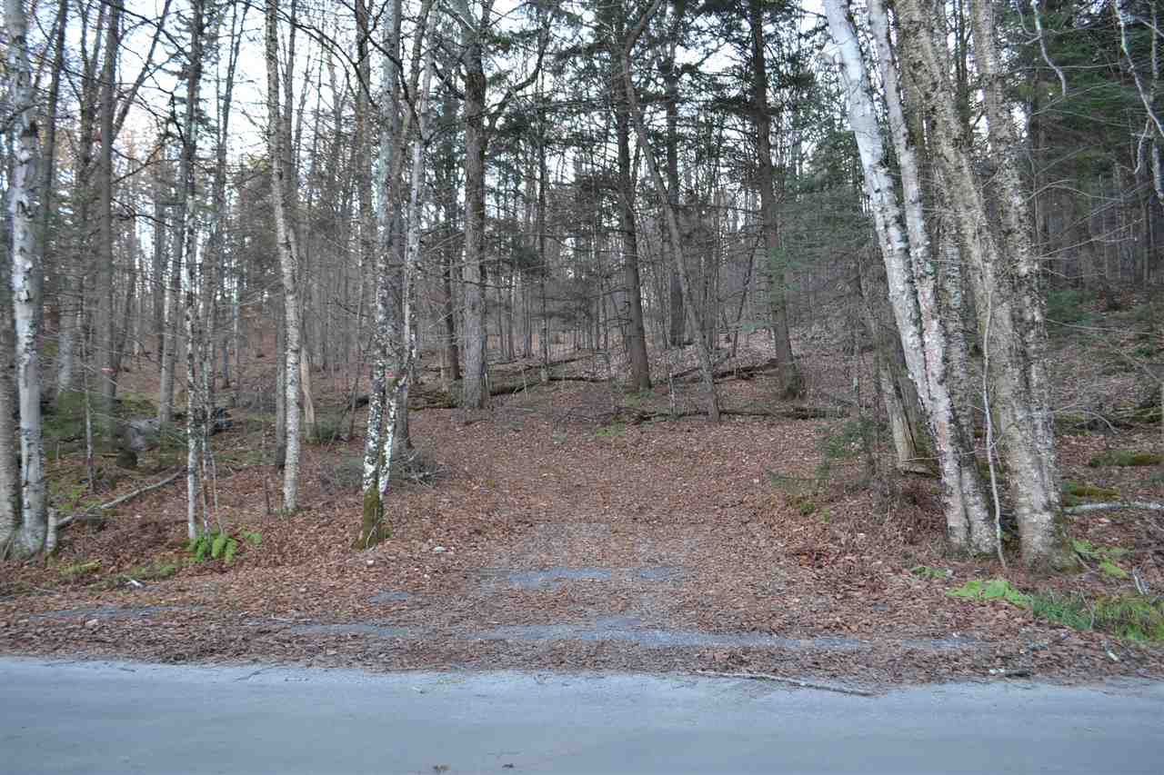 154 Bliss Pond Road Calais, VT 05648 - Photo 3 of 13
