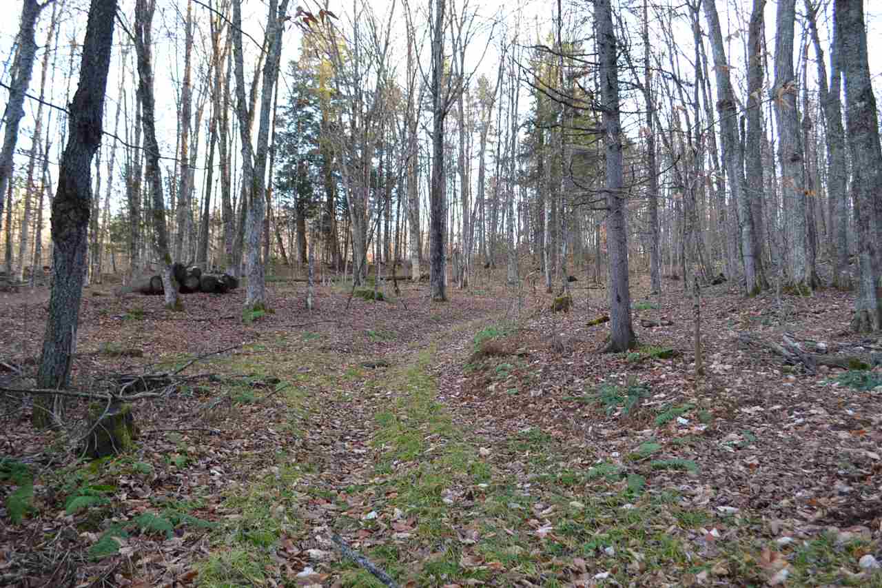 154 Bliss Pond Road Calais, VT 05648 - Photo 6 of 13