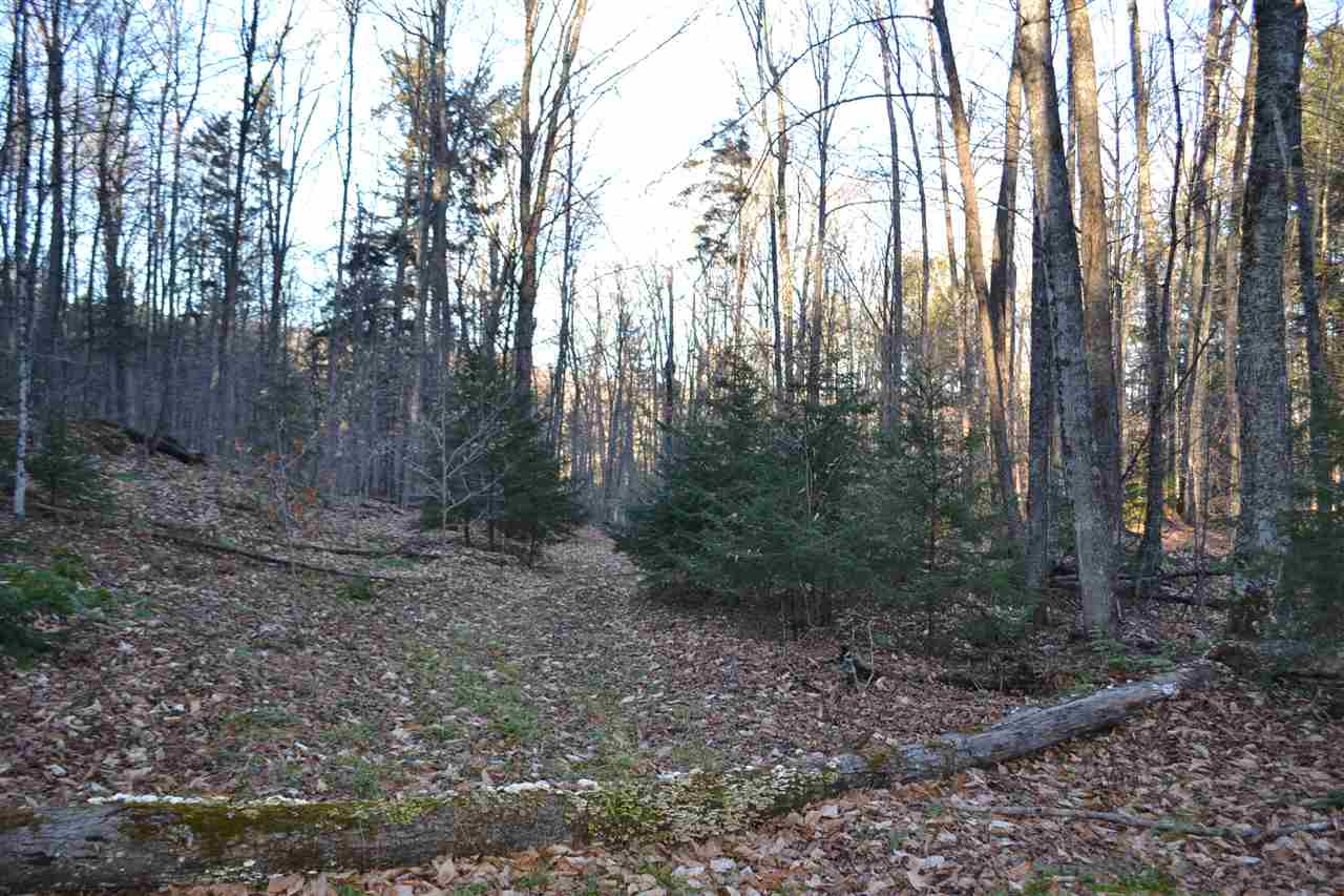 154 Bliss Pond Road Calais, VT 05648 - Photo 10 of 13