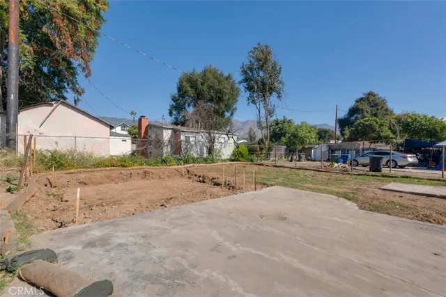 a view of yard with palm trees