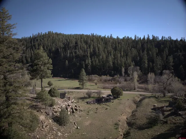 a view of a backyard with green space