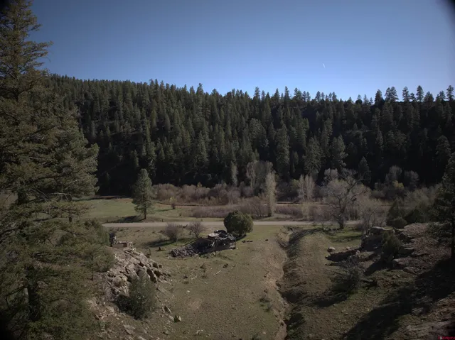 a view of a yard with a tree