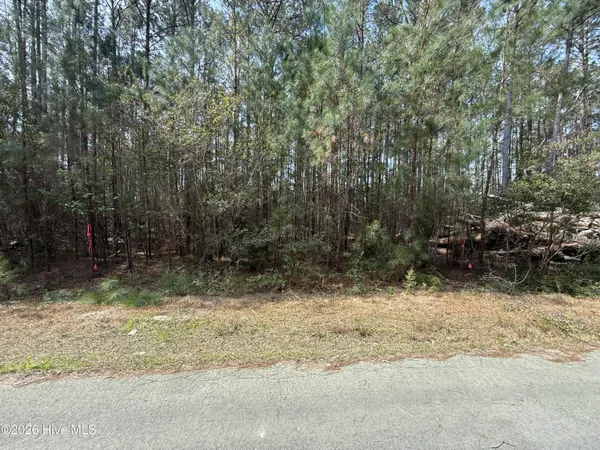 $150,000 | Undisclosed Address, Oriental, NC 28571