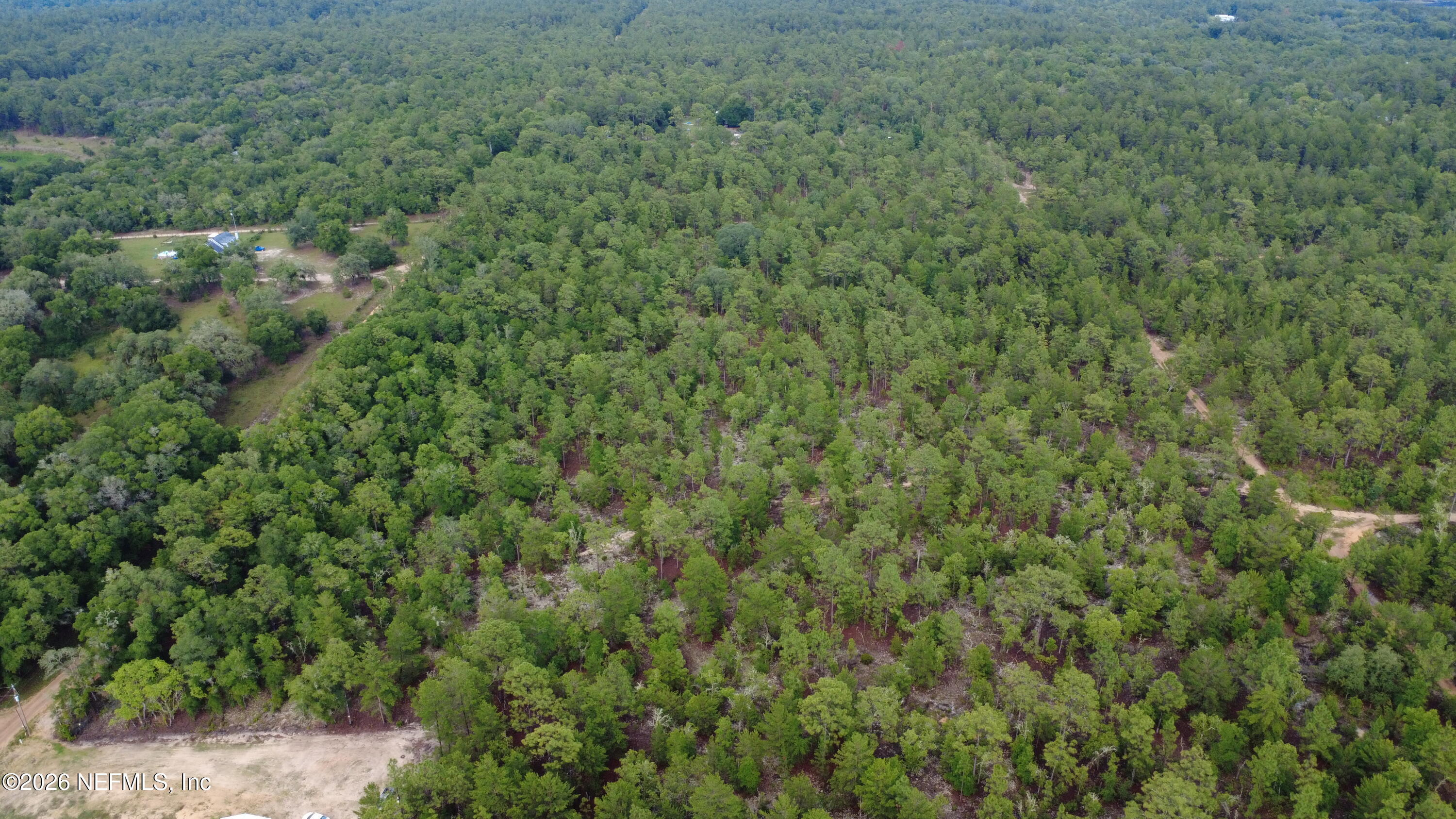 0 Windy Hills Road Hawthorne, FL 32640 - Photo 2 of 4 DJI_0433