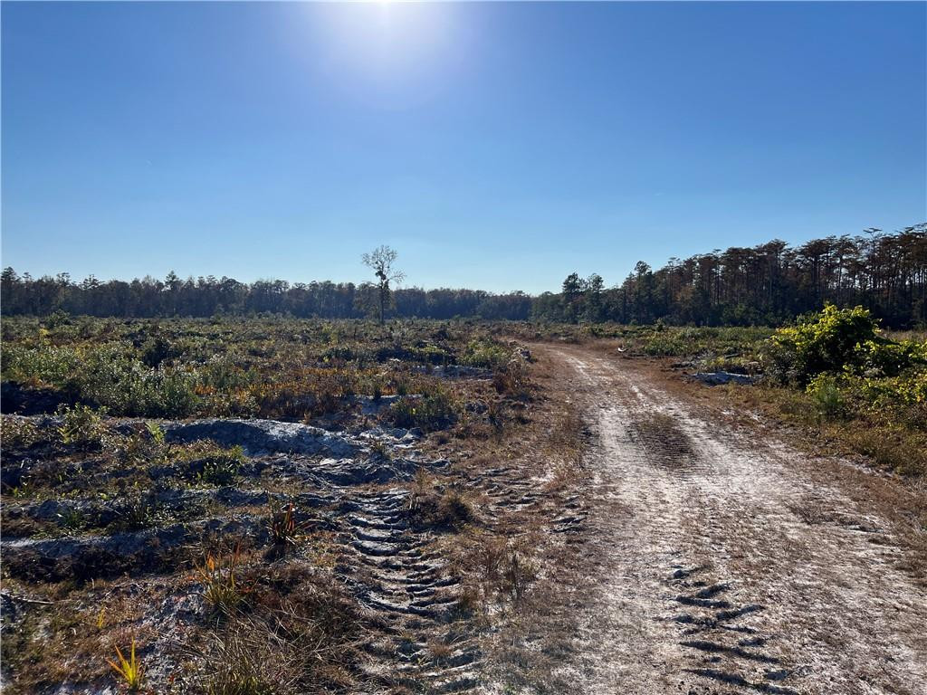 99 Highway 99 Townsend, GA 31331 - Photo 9 of 36