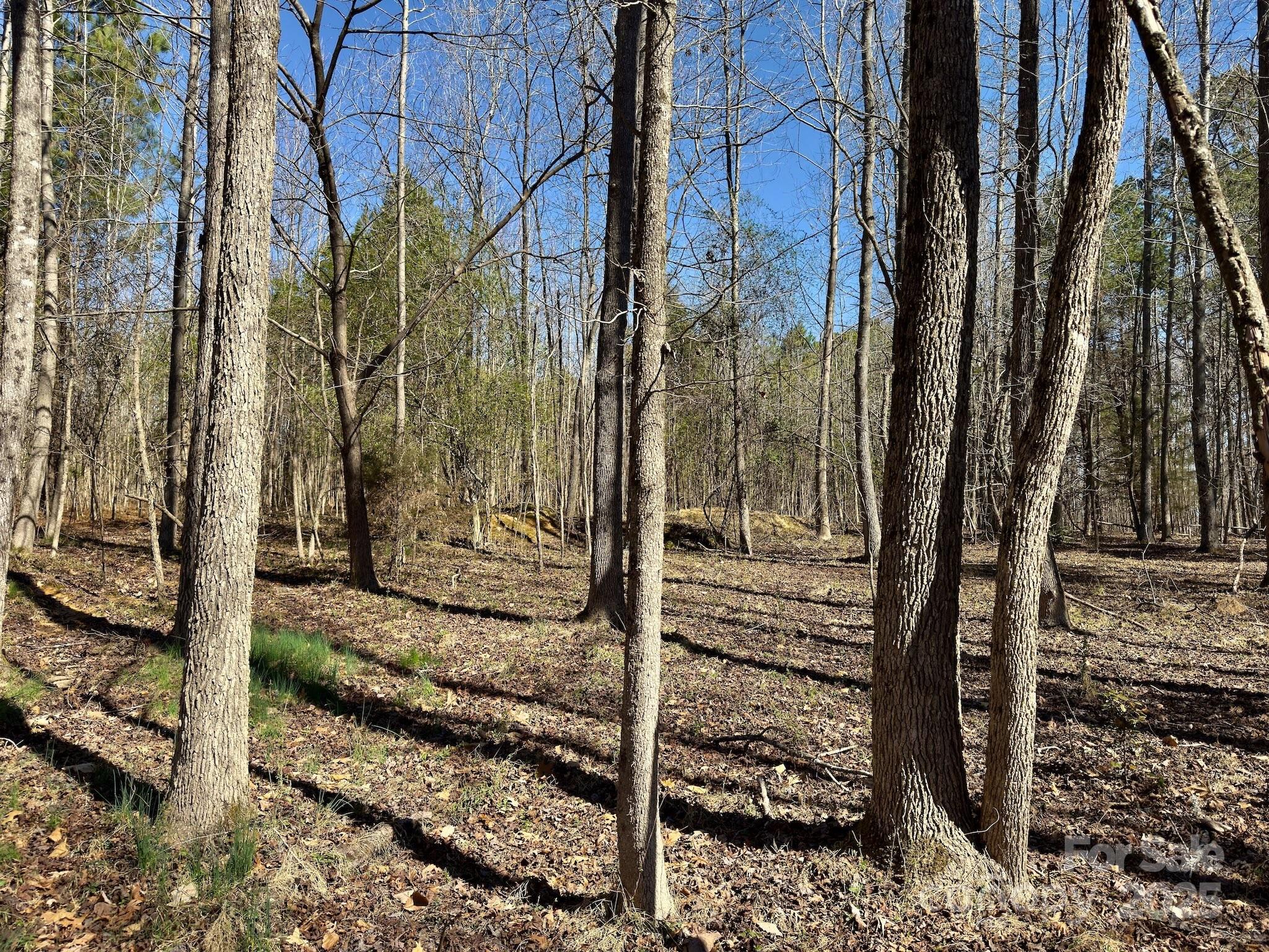 0 Gene Road New London, NC 28127 - Photo 17 of 26 Gallery Image 17