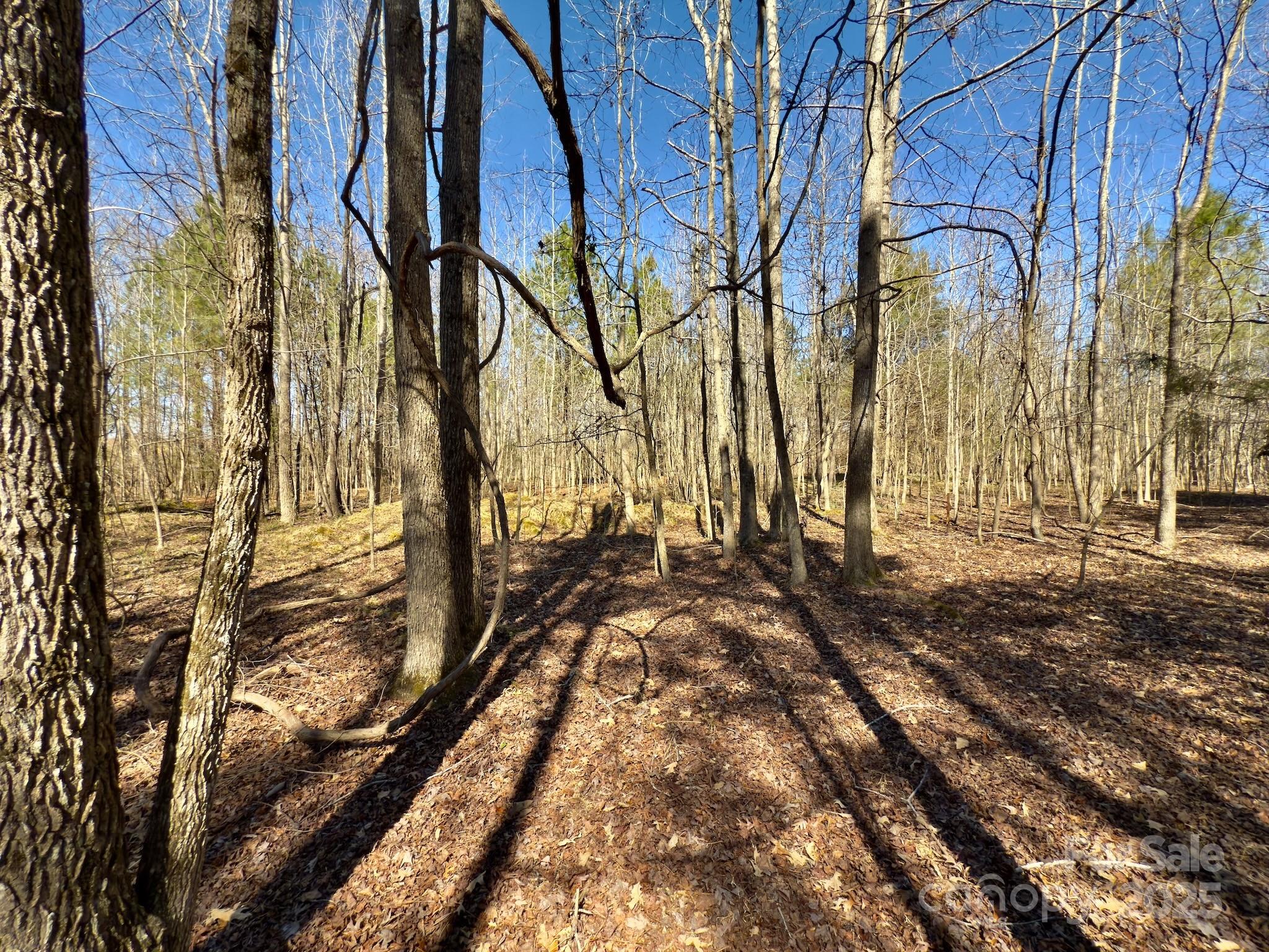 0 Gene Road New London, NC 28127 - Photo 18 of 26 Gallery Image 18