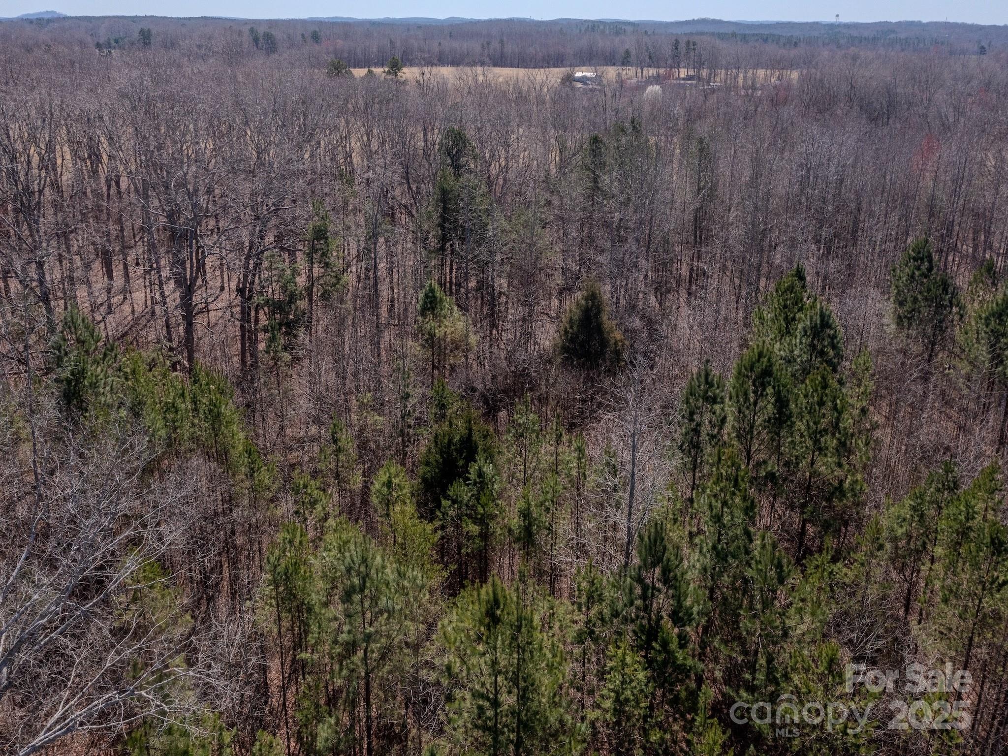 0 Gene Road New London, NC 28127 - Photo 20 of 26 Gallery Image 20