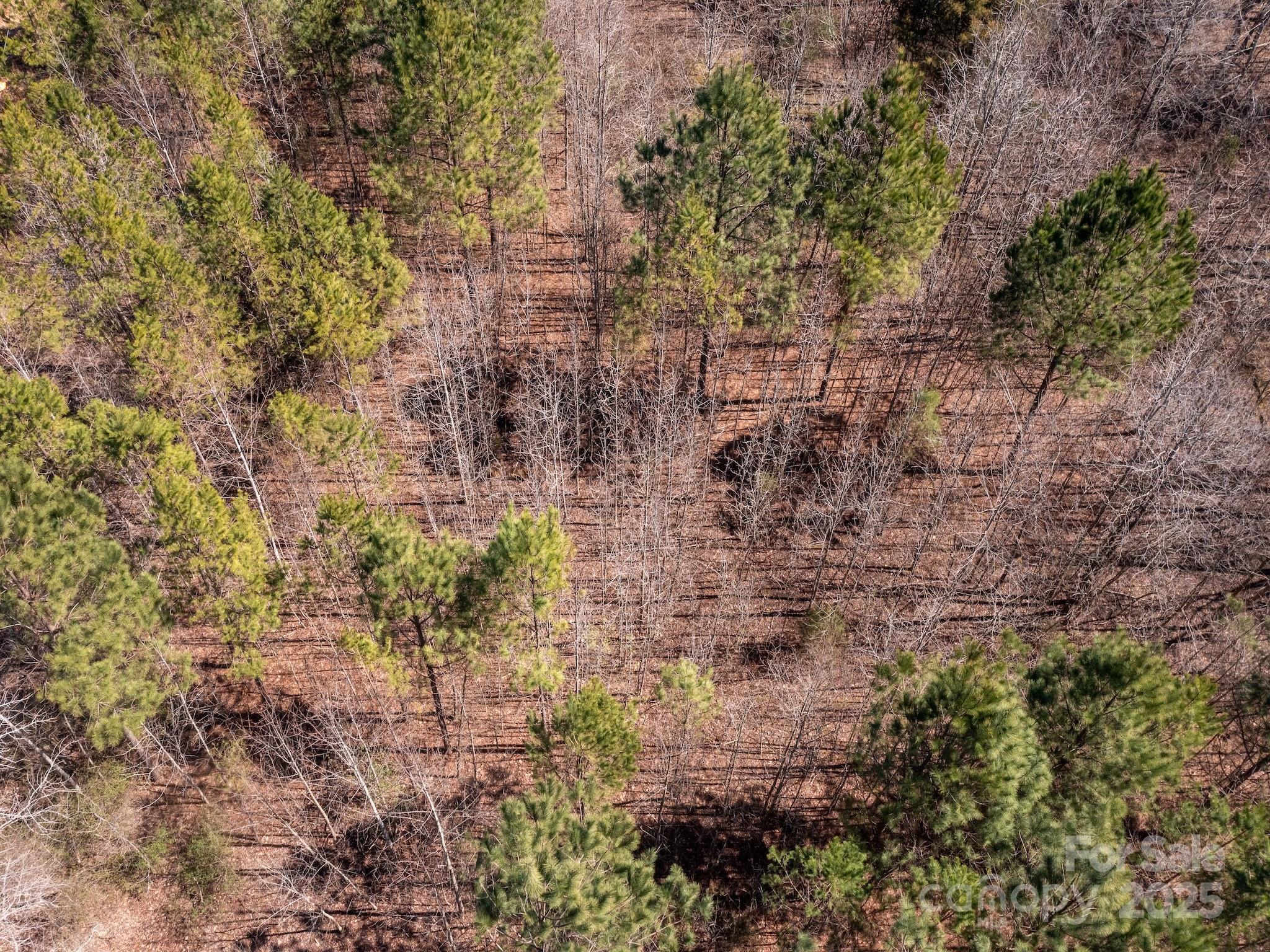 0 Gene Road New London, NC 28127 - Photo 23 of 26 Gallery Image 23