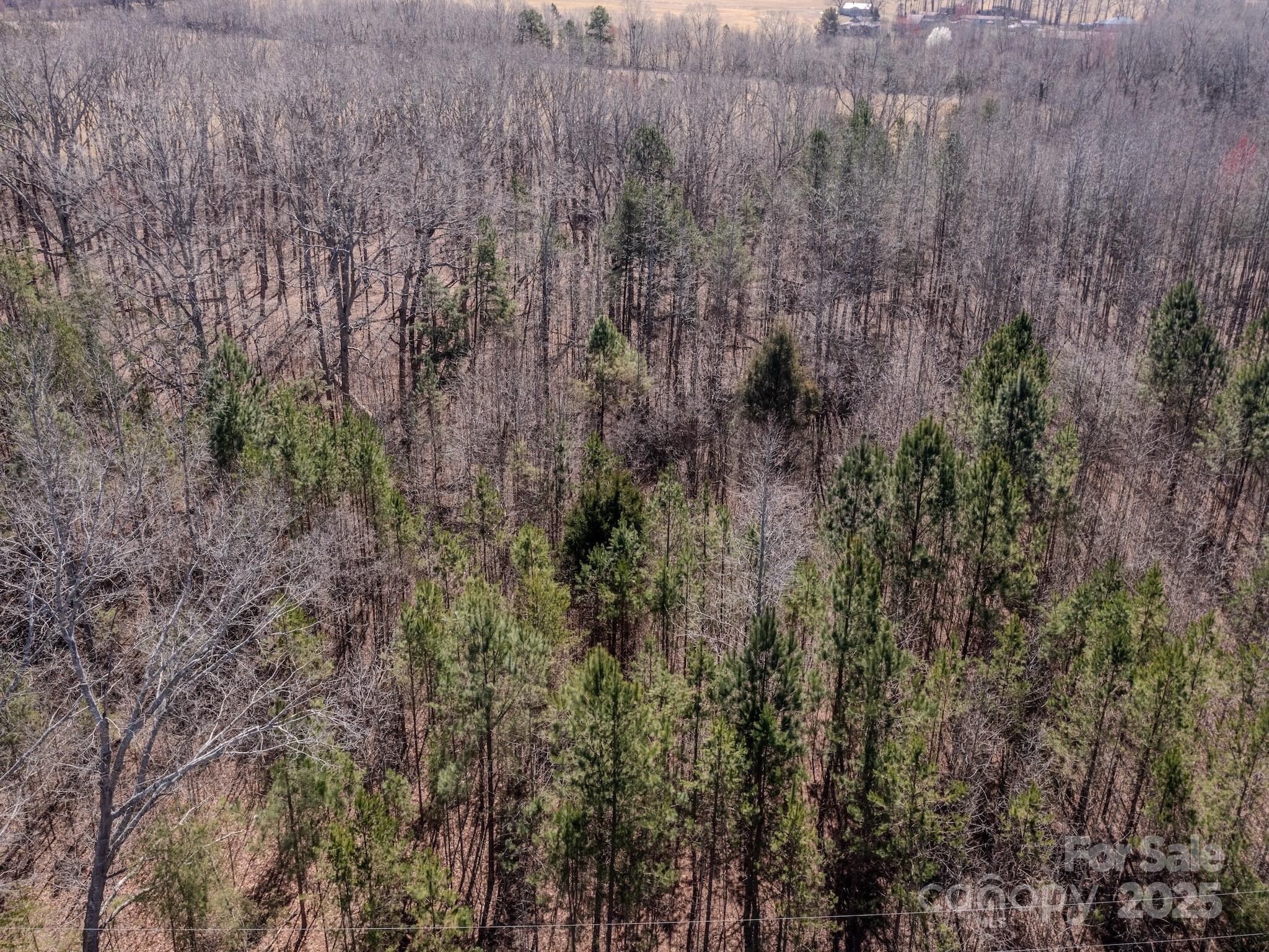 0 Gene Road New London, NC 28127 - Photo 24 of 26 Gallery Image 24