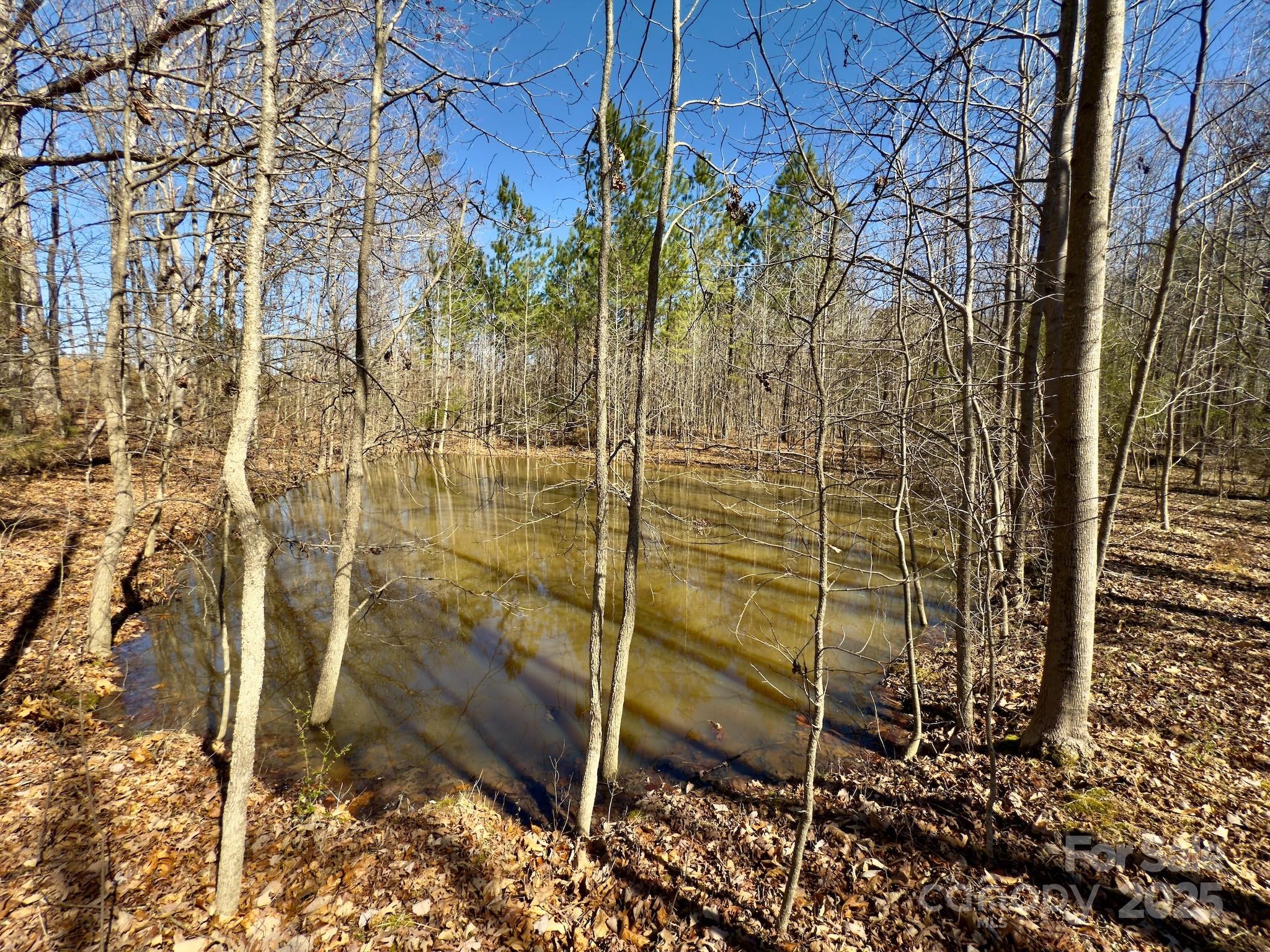 0 Gene Road New London, NC 28127 - Photo 8 of 26 Gallery Image 8