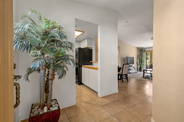 a living room with furniture and a potted plant