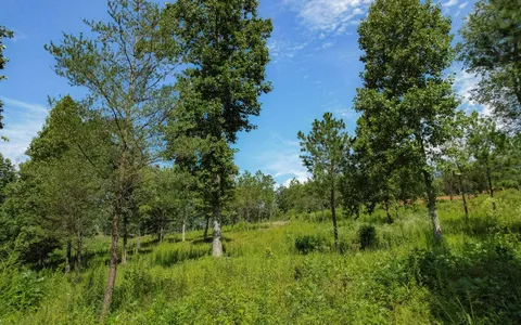 $90,000 | 26 Arbor Creek Trail, Mineral Bluff, GA 30559