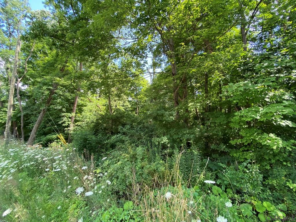 School Street, Unit 2 2 Cairnbrook, PA 15924 - Photo 6 of 11