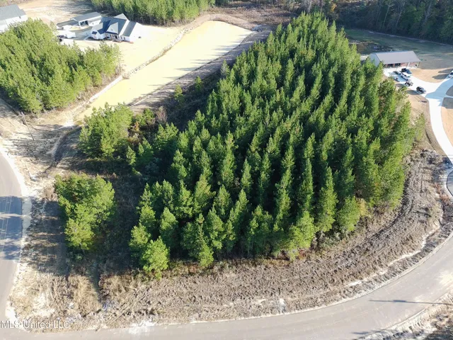 $126,900 | 903 Old Glory Lane, Brandon, MS 39047