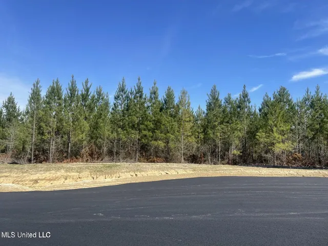 $126,900 | 903 Old Glory Lane, Brandon, MS 39047