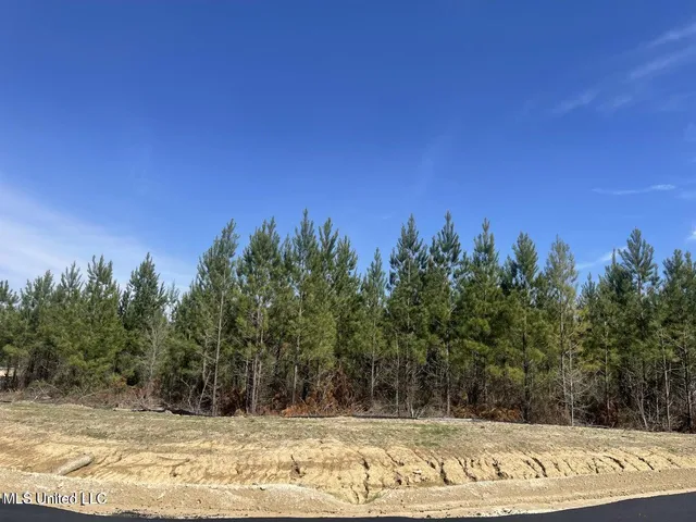$126,900 | 903 Old Glory Lane, Brandon, MS 39047