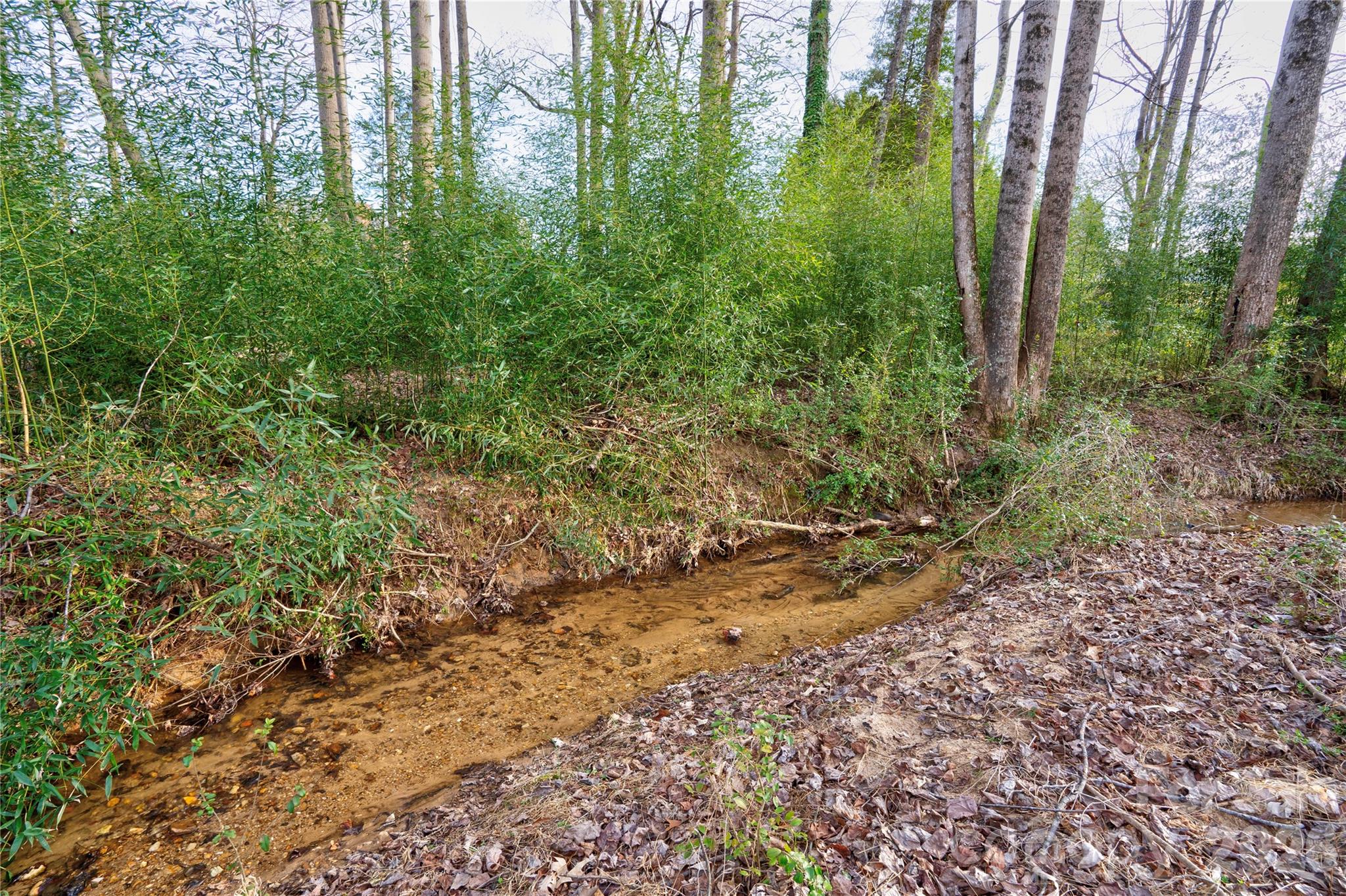 126 Deer Track Gaffney, SC 29341 - Photo 37 of 39
