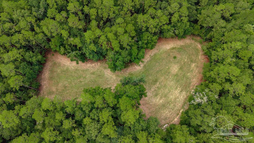 2433 Wallace Lake Road Pace, FL 32571 - Photo 54 of 69 Gallery Image 54
