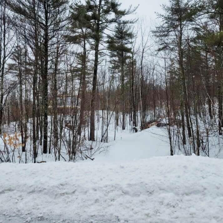 81 Mitchell Road Casco, ME 04015 - Photo 6 of 10 7