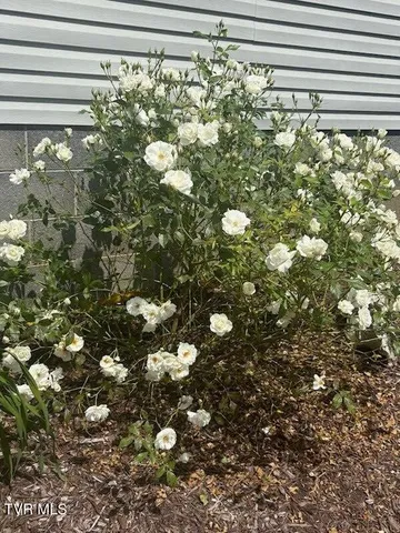 $294,500 | 1435 Bailey Bridge Road, Limestone, TN 37681