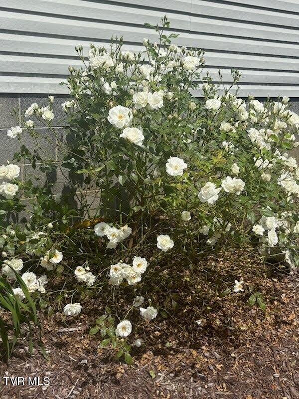 1435 Bailey Bridge Road Limestone, TN 37681 - Photo 26 of 26 EXT02