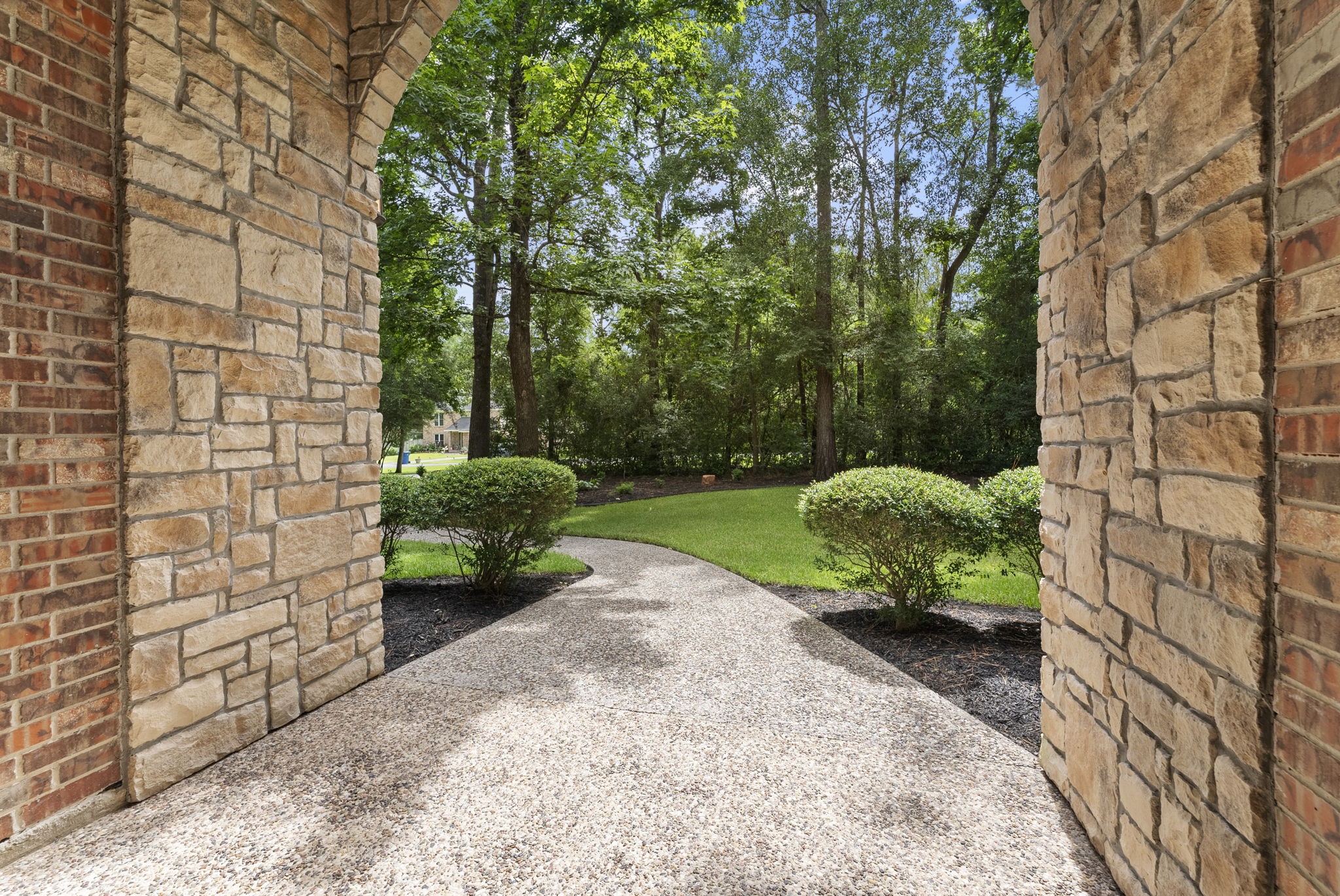 24311 Standing Oak Drive Spring, TX 77389 - Photo 6 of 42 a view of a garden with potted plants and large trees