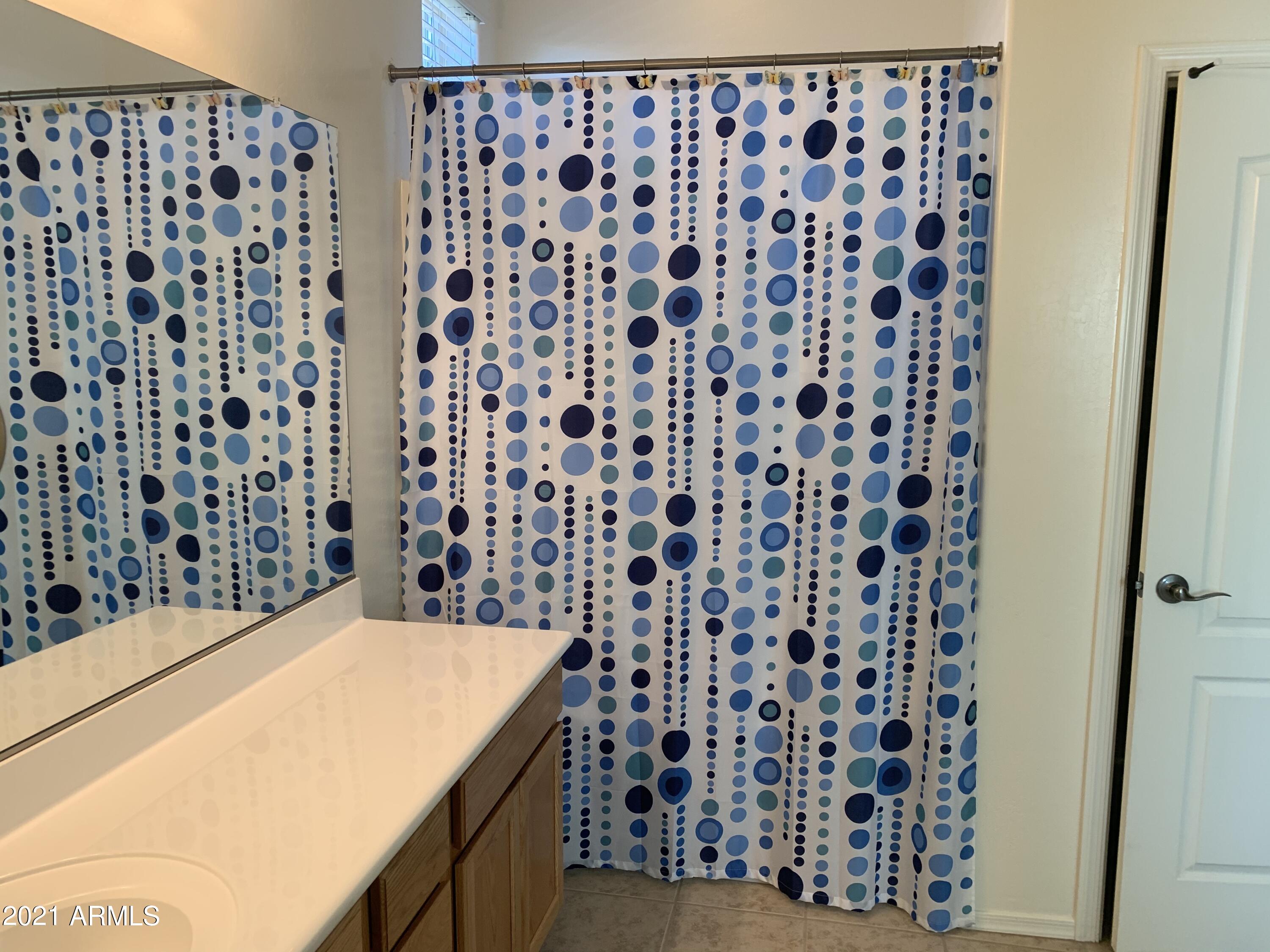 2737 East Mews Road Gilbert, AZ 85298 - Photo 8 of 19 Master Bathroom