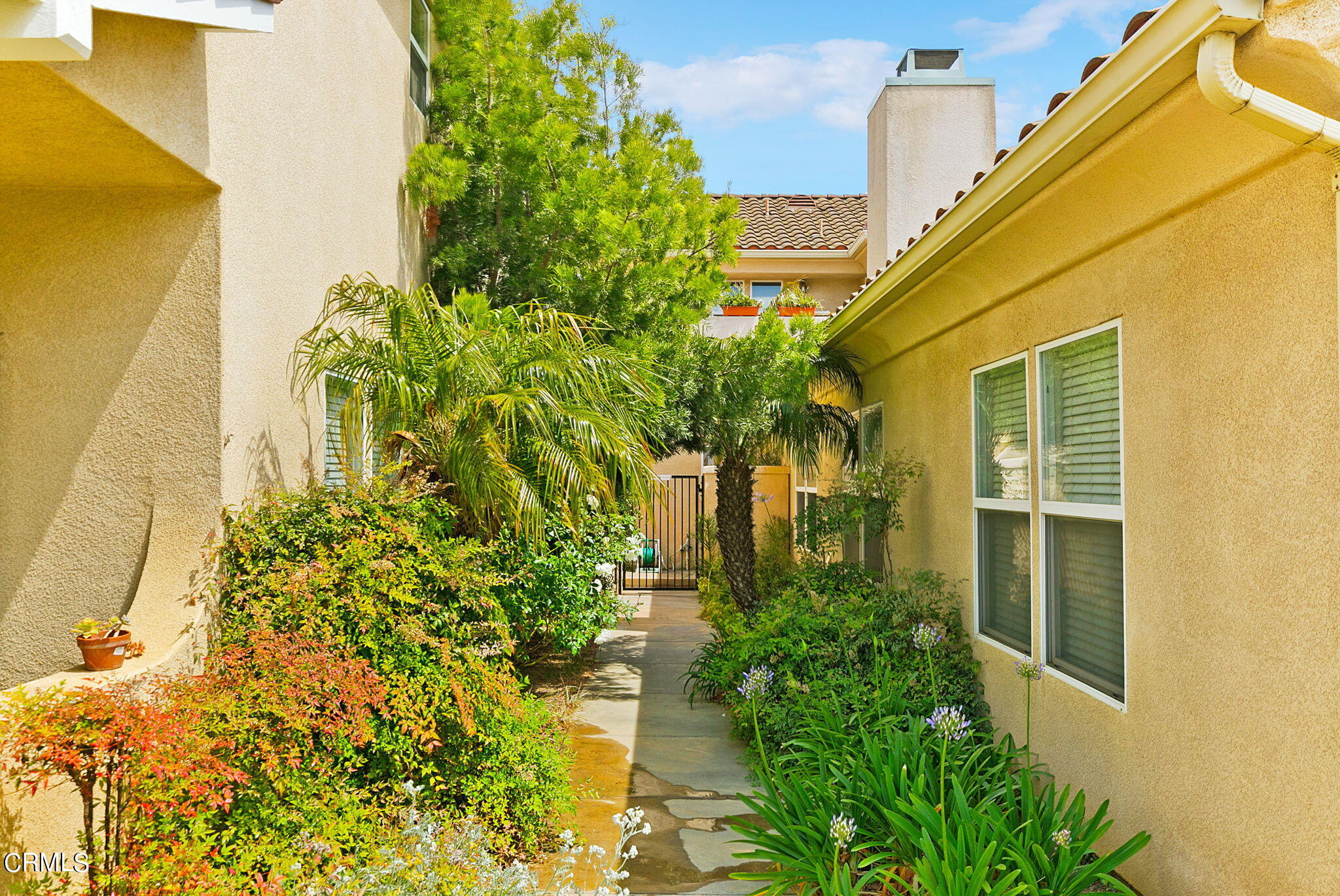 11172 Darling Road Ventura, CA 93004 - Photo 2 of 31 a plant is in front of a yellow house